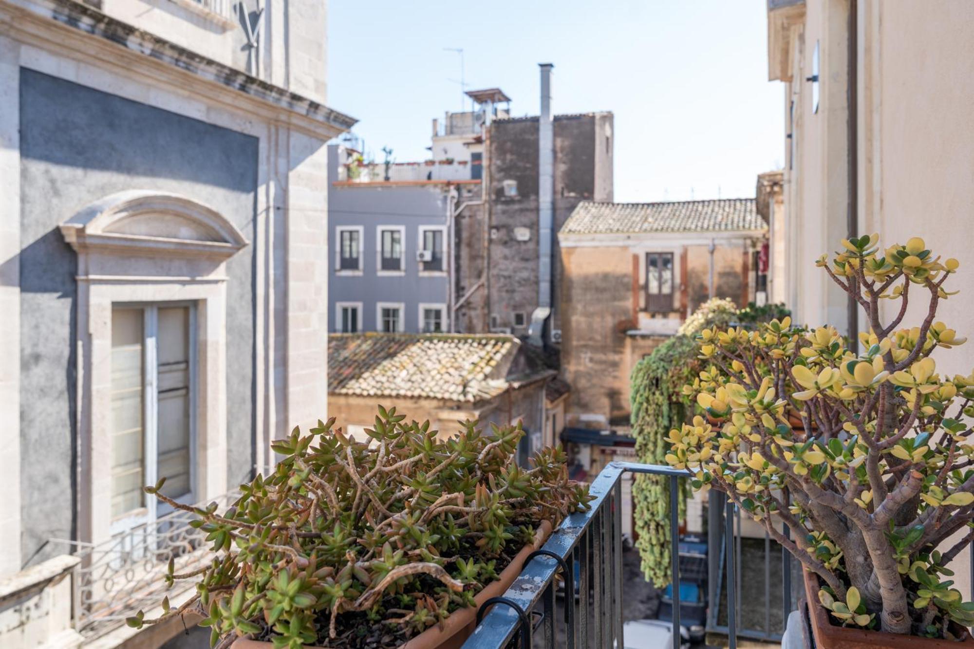 Amenano Apartments Catania Exterior photo